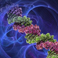 Displasia espondiloepimetafisaria tipo matrilina3 FEMEXER