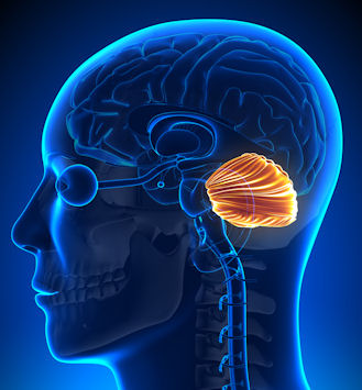 Ataxia espinocerebelosa autosómica dominante