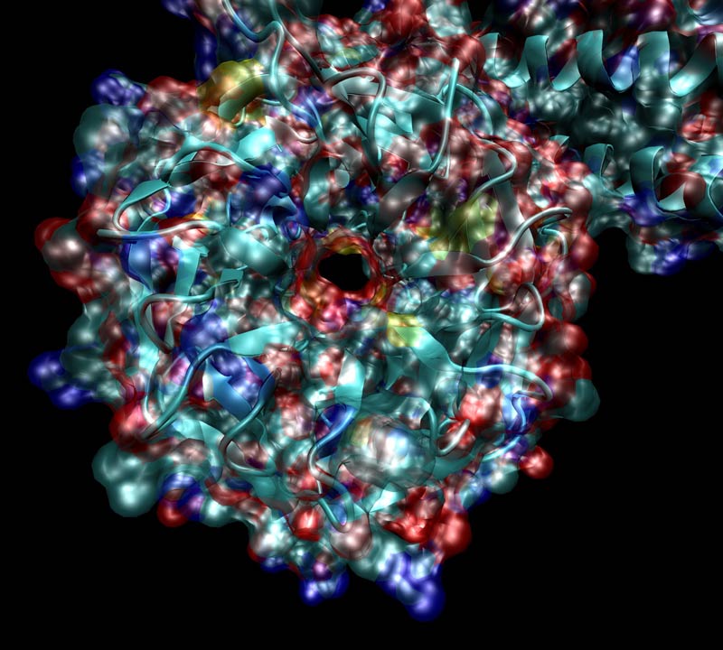 Deficiencia de 3-hidroxiacil-CoA deshidrogenasa de cadena larga