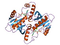 Deficiencia de GTP-ciclohidrolasa I