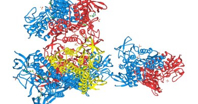 Deficiencia de acil-CoA deshidrogenasa 9