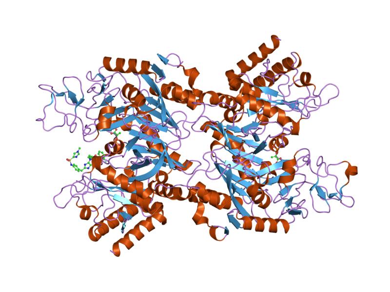 Deficiencia de fosfoenolpiruvato carboxiquinasa