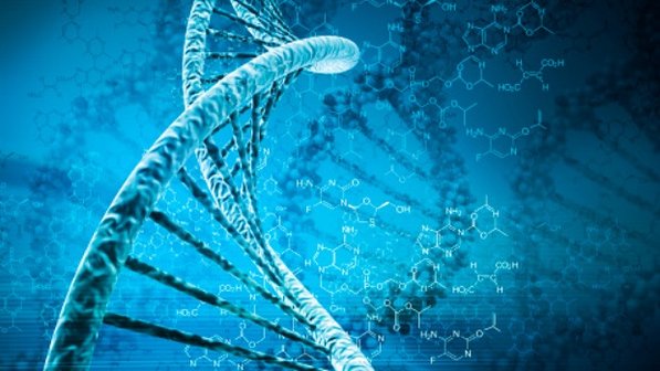 Deficiencia de guanidinoacetato metiltransferasa