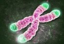 Disomía uniparental materna del cromosoma 20