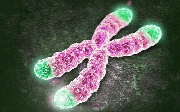 Disomía uniparental materna del cromosoma 20