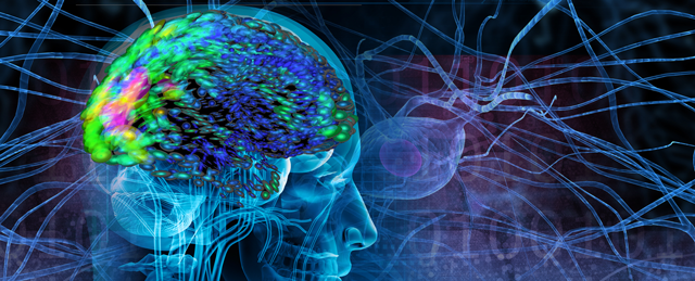 Epilepsia del lóbulo frontal nocturna autosómica dominante