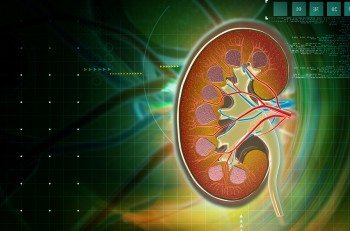 Acidosis tubular renal proximal autosómica dominante