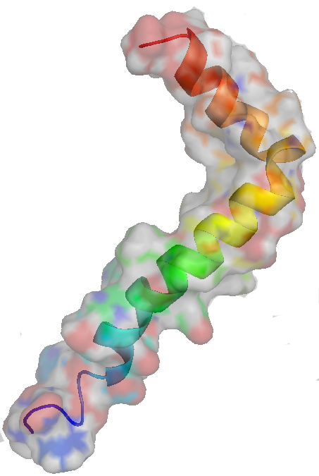 Amiloidosis ABeta tipo italiano