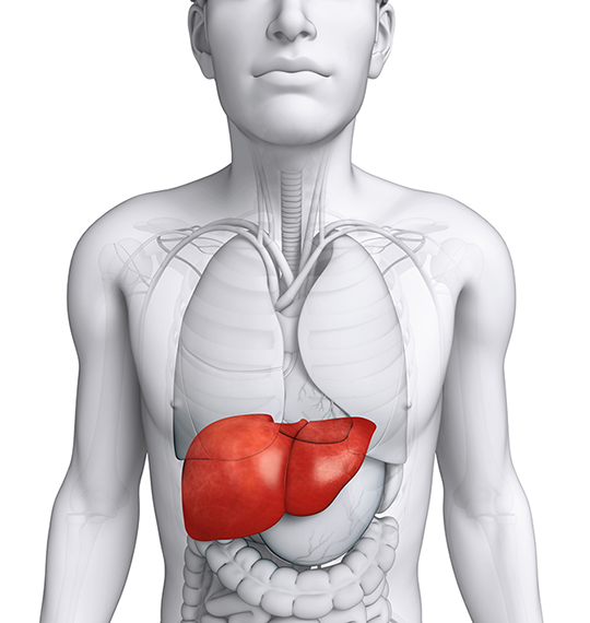 Carcinoma hepatocelular pediátrico