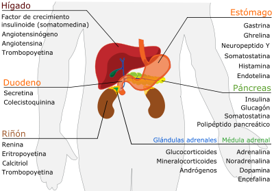 Síndrome neuroectodérmico-endocrino