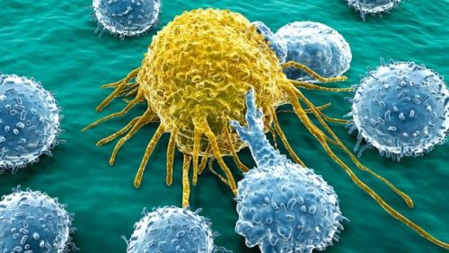 Síndromes genéticos polimalformativos con aumento del riesgo de desarrollar cáncer