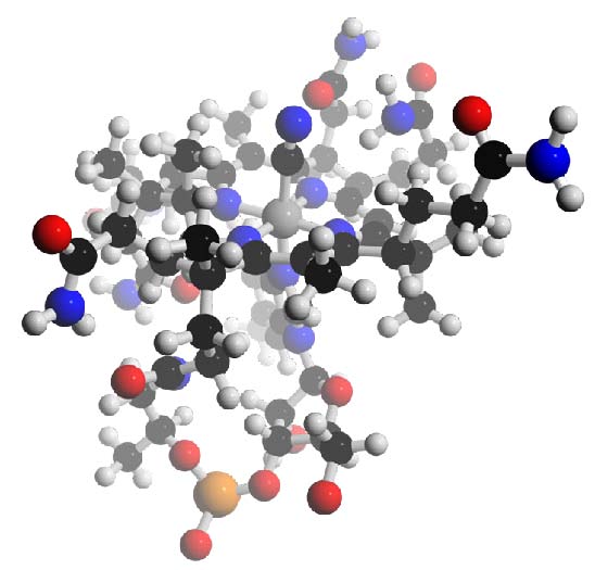 Acidemia metilmalónica sensible a la vitamina B12