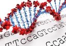 DNA-Sequence