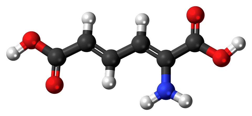 Deficiencia de monoamina oxidasa A