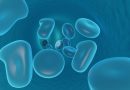 blood_cell_1529402389
