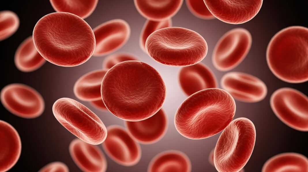 Close-up of red blood cells in motion, showcasing their vibrant red hue and unique disc shape. Acercamiento a las células rojas (hematocitos) de la sangre, en movimiento, exhibiendo su vibrante matiz rojo y única forma. Foto Pro por ARSHDEEP SINGH para Vecteezy. Uso de FEMEXER.
