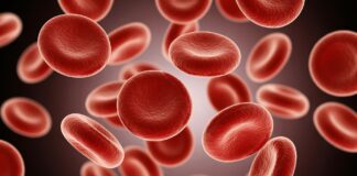 Acercamiento a las células rojas (hematocitos) de la sangre, en movimiento, exhibiendo su vibrante matiz rojo y única forma. Foto Pro por ARSHDEEP SINGH para Vecteezy. Uso de FEMEXER.