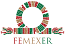 femexer_logo-512x512_1x1