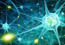 Ataxias neurodegenerativas