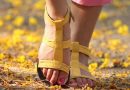 Enfermedad de Charcot-Marie-Tooth eerr