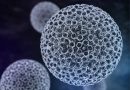 Epidermodisplasia verruciforme eerr