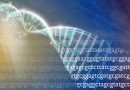 NHGRI-DNA-768×512