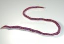 onchocerca-volvulus-roundworm-nematoda-causes-onchocerciasis-river-blindness-humans-onchocerca-volvulus-roundworm-116205620