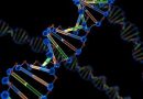 Infertilidad-masculina-con-azoospermia-o-oligozoospermia-por-una-unica-mutacion-genetica