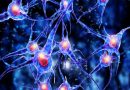 Distrofia neuroaxonal infantil eerr