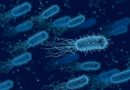 esclerosis-multiple-herpes6