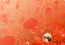 Transfusiones de sangre