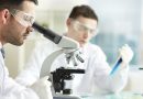 investigacion