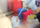 ensayo-clinico-inhibidor-tumores-neurofibromatosis