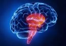 Posible-nuevo-tratamiento-enfermedad-de-Huntington-otorgada-como-designacion-a-medicamento-huerfano