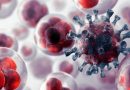 leucemia-mieloide-aguda-ensayo