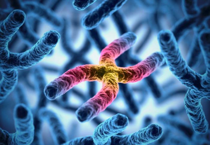 Investigaciones recientes vinculan la hemocromatosis hereditaria a enfermedades articulares y cánceres