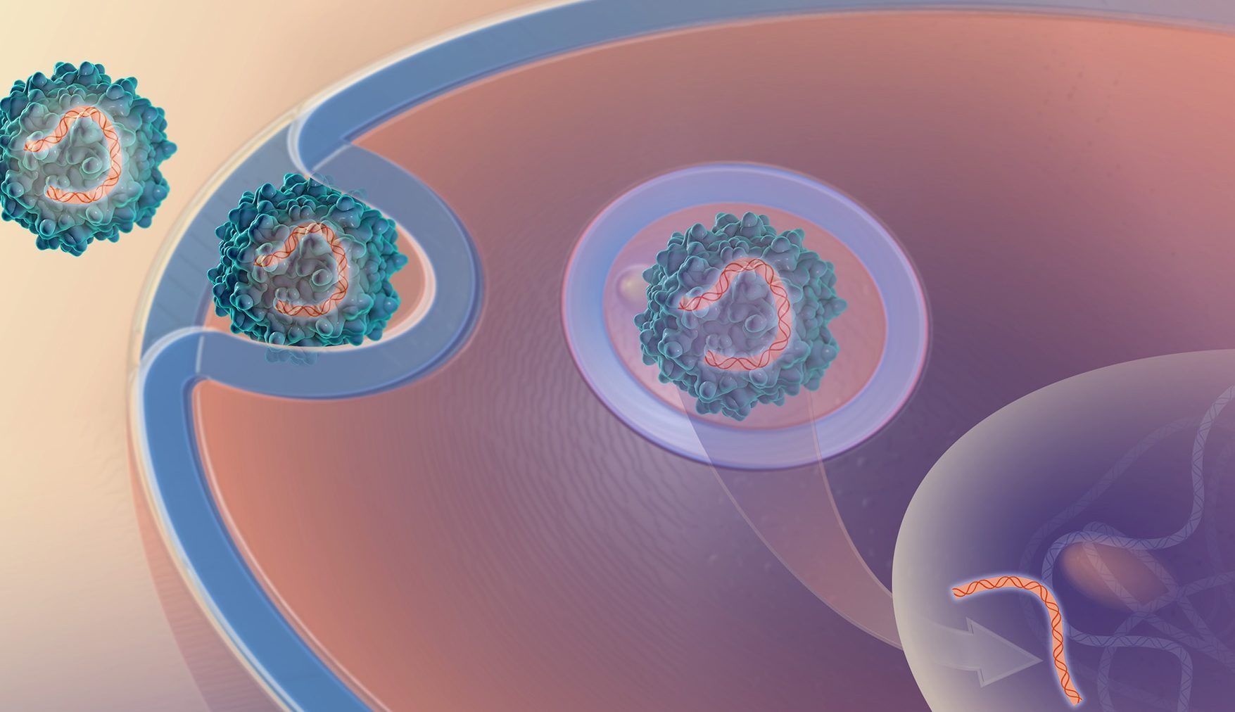 Resultados-ensayos-Fase-2-Epidermolysis-Bullosa-segundo-trimestre-2019