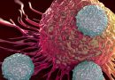 cáncer conmutable CAR-T de Calibr y AbbVie