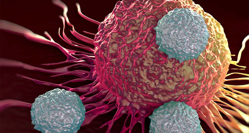 cáncer conmutable CAR-T de Calibr y AbbVie