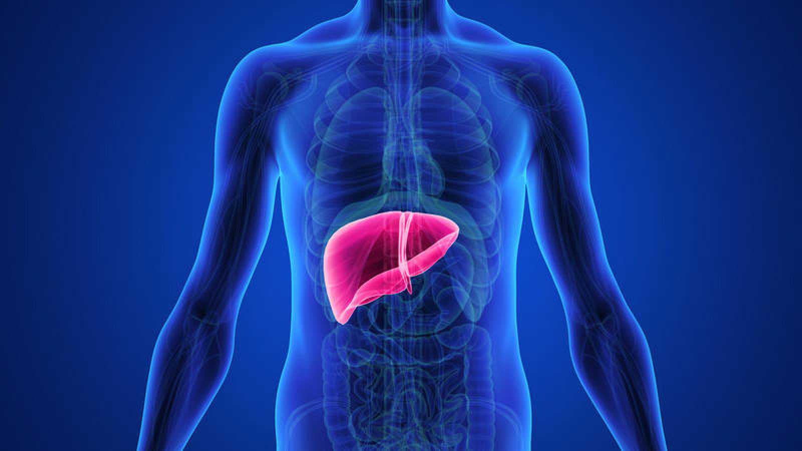 carcinoma hepatocelular