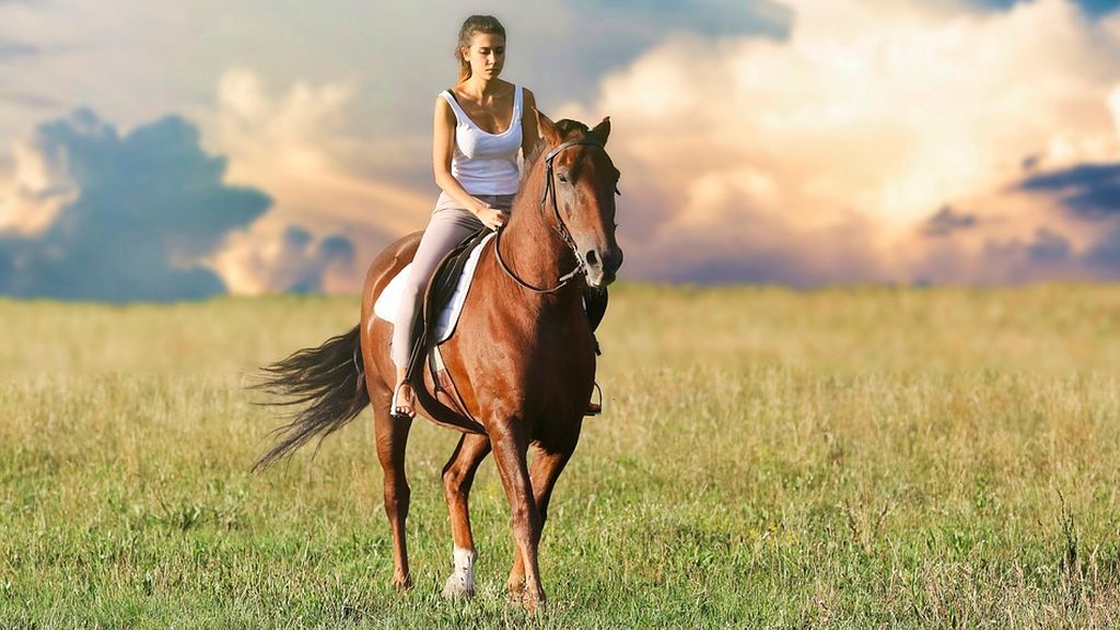 Los caballos, clave para la mejora de los pacientes con esclerosis múltiple