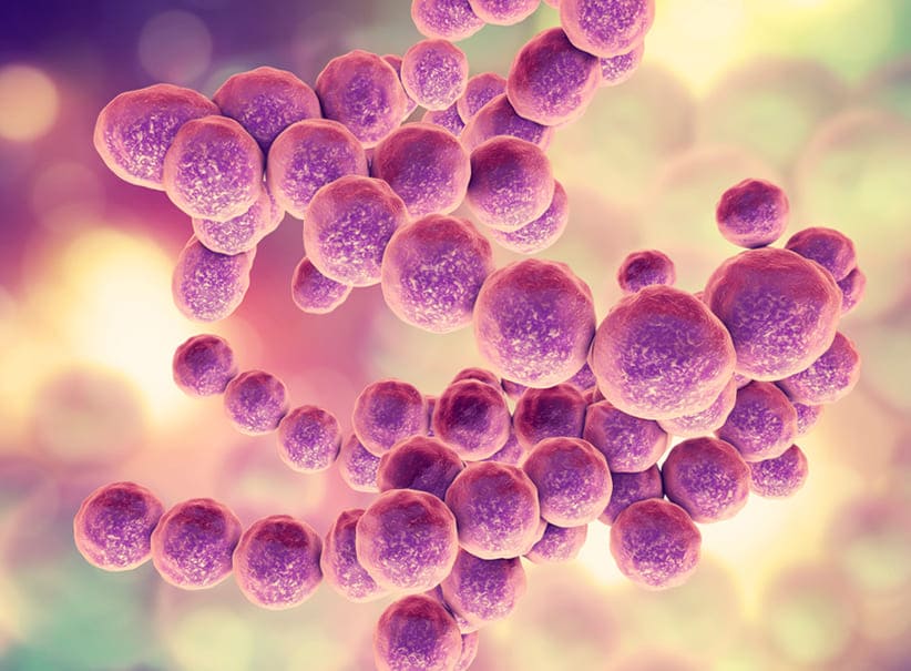 Los microbios intestinales pronosticarían los brotes de lupus