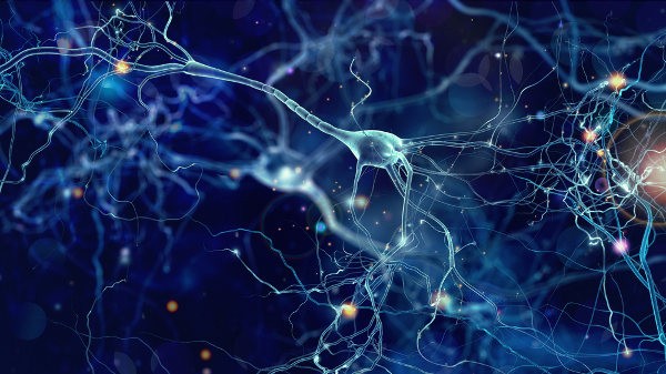 Nueva variación genética que causa la enfermedad de las neuronas motoras descubierta en una nueva vía biológica