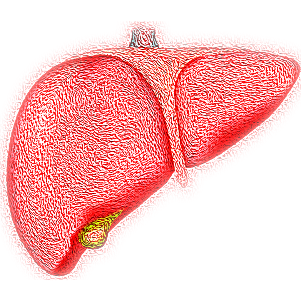 Actualizaciones en terapias experimentales para enfermedades hepáticas