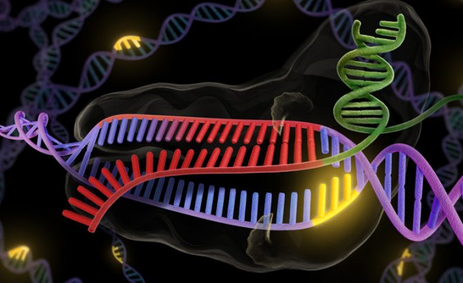 El Grupo Internacional de Investigación Genética iniciará un estudio sobre el síndrome hipermóvil de Ehlers-Danlos (hEDS)