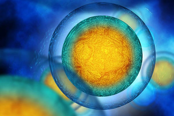 La capacidad de estudiar células individuales está llevando a nuevos descubrimientos científicos