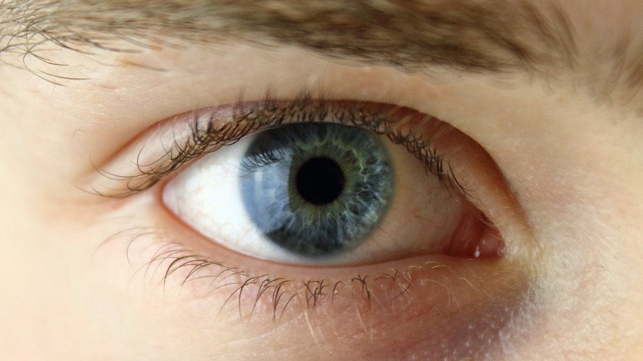 Un estudio indica la necesidad de más genetistas oculares para reducir el diagnóstico erróneo de la enfermedad Stargardt