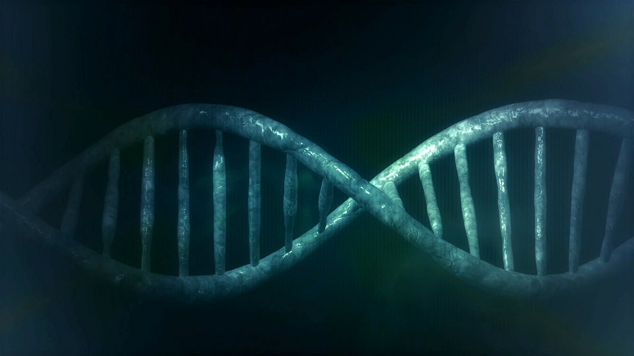 Las drogas de silenciamiento de genes parecen ser efectivas en la porfiria y también tienen potencial para otras enfermedades