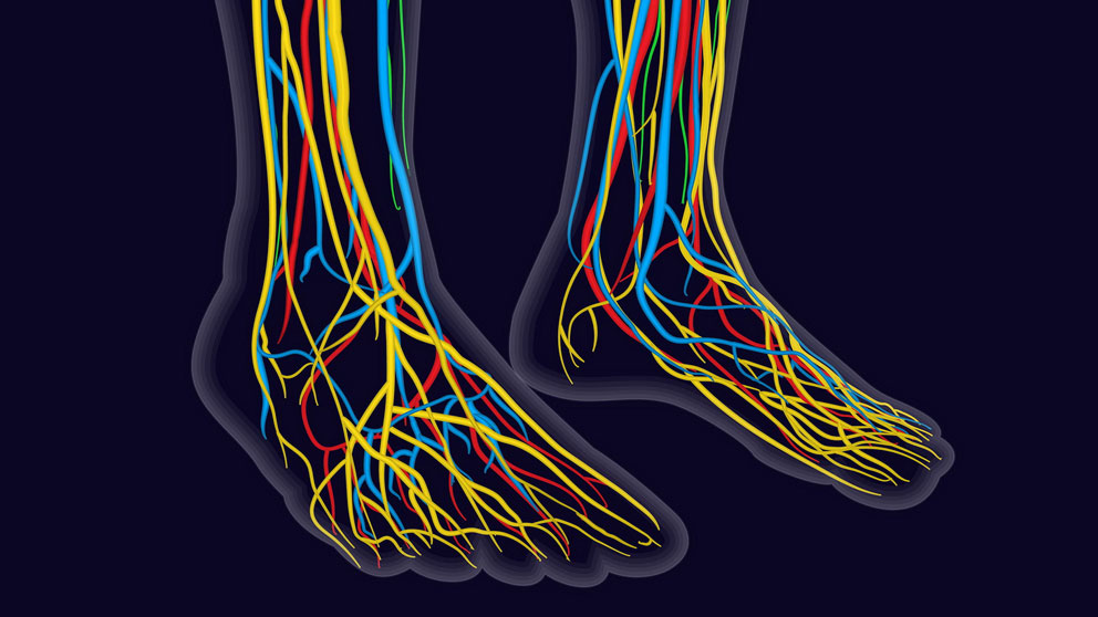 Charcot-Marie-Tooth-4-subtipo-C