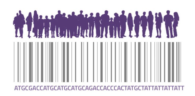 La importancia de estudiar las interacciones entre genes